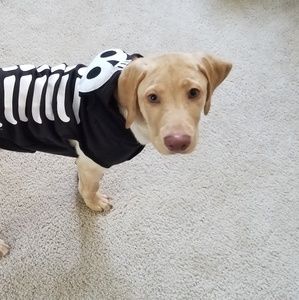 Meet your Posher, Cassie